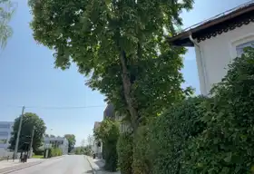 Galeriebild 59