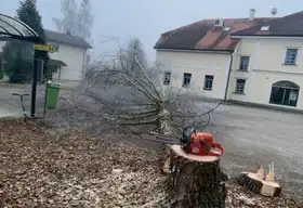 Galeriebild 61